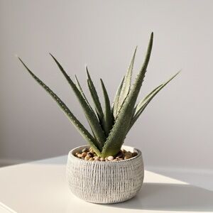 Elegant Faux Aloe in Textured Planter